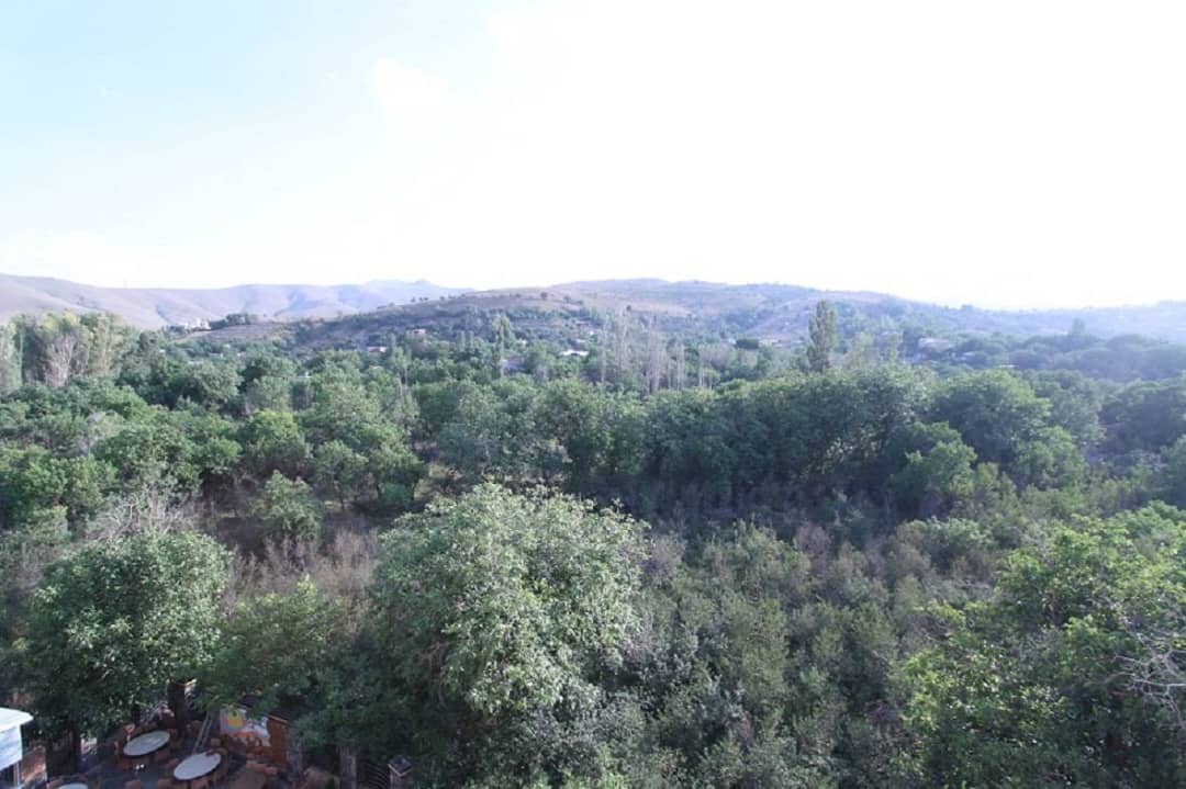 رزرو هتل پارسیان آزادی ارم