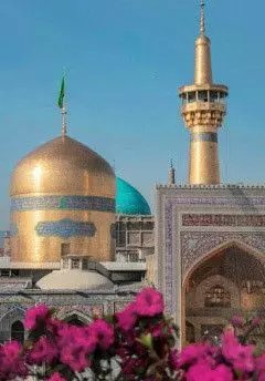 رزرو رایگان هتل، هتل آپارتمان، هتل سنتی، اقامتگاه بومگردی، کلبه و سایر اقامتگاه های دارای مجوز در مشهد